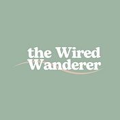 The Wired Wanderer