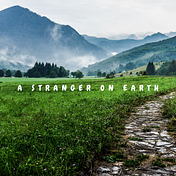 Stranger on earth