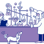 The Casper Design Team