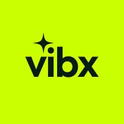 VibX AI