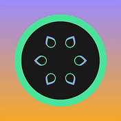 Guaava Collective