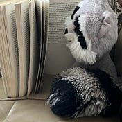 Reading Raccoons Ruminations Regurgitation Repository