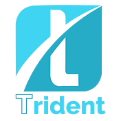 Trident Crypto Index Fund
