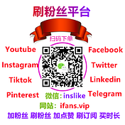 Instagram粉丝 Instagram点赞 Instagram刷粉丝平台