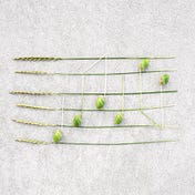 Cinematic Composing