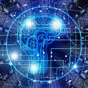 Byte-Sized Insights