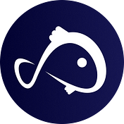 Koii-fr