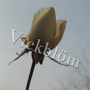 Vickblöm