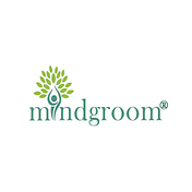 Mindgroom Career Counselling best career guidance