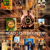 xcao system group