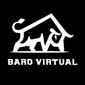 Baro Virtual