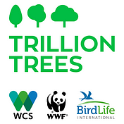 Trillion Trees