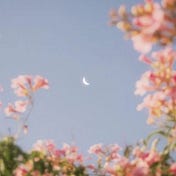 Moonside.Inc