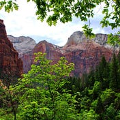 Detailed Guide – Medium