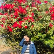 Nitika 🌷
