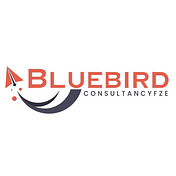 Bluebirdconsultancyfze