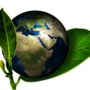 Going Green