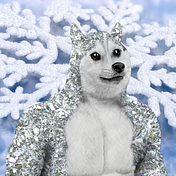 Doge VIP Club