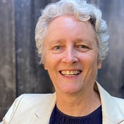 Anne Janzer