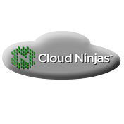 Cloud Ninja