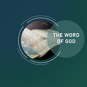 Five Minute Bible Study™