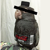 Birb