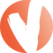 Vizion Digital Solutions
