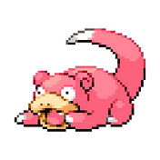 Slowpoke Finance