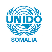 UNIDO Somalia Programme