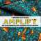 AMPLIFY