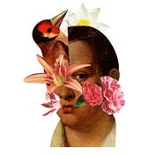 Para describir al pájaro