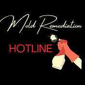 Mold Remediation Hotline