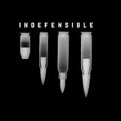 Medium profile picture for @indefensible