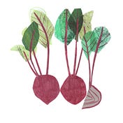 Medium profile picture for @beets