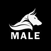 Wolf Male