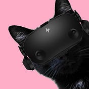 Cat Noir VR