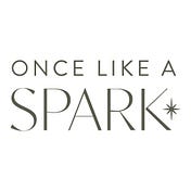 Once Like a Spark Wedding Co