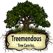 Treemendous Tree Care Inc