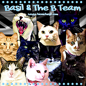 Basil and The B Team