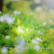 GunTongtarb Photography