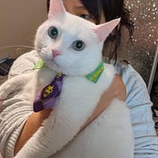 Emily Yan