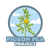 Pigeon Pea Project - a non-profit endeavor
