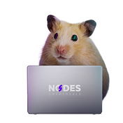 Cryptosale Nodes