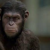 Just an Ape
