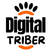 Digital Triber | Digital Marketing Agency