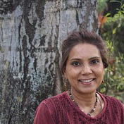 Nandini