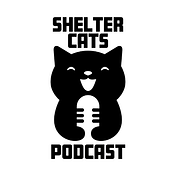 Shelter Cats