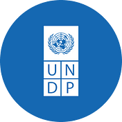 UNDP Strategic Innovation