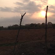 Diarios de Urabá