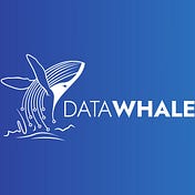 Data Whale